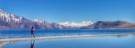Where You Can Find Nothing But Calm & Serenity- Pangong Lake